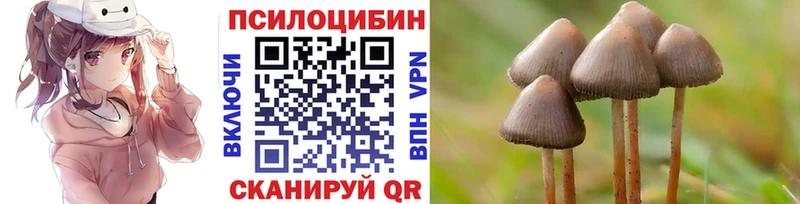 Псилоцибиновые грибы прущие грибы  Алушта 