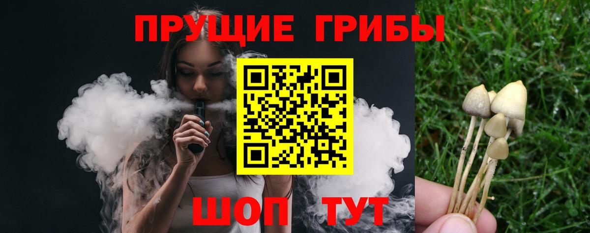 Галлюциногенные грибы мухоморы  дарнет шоп  Алушта  Вход с VPN 